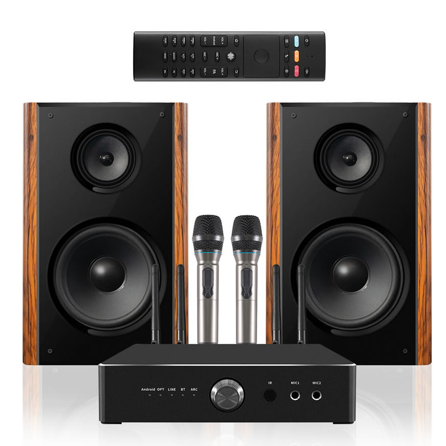Professioneller 300W High Power Heimkaraoke-Lautsprecher | iHomeLife-HLQ HiFi-Audio für Heim-KTV, Heimkino und Kleine Aufführungen