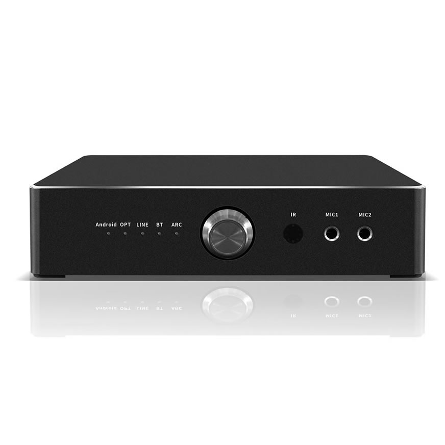 iHomeLife HLQ 600W All-in-One-Karaoke-Verstärker