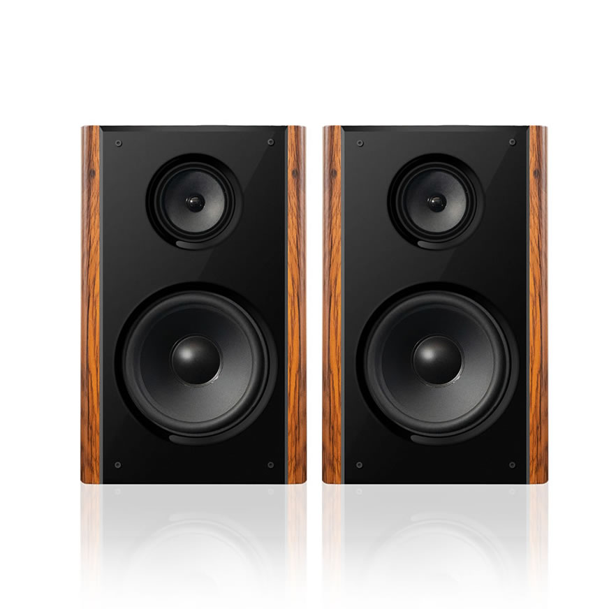 300W High Power Professional Home Karaoke Speaker | iHomeLife-HLQ HiFi Home KTV Audio for Home Theater & Small Performances