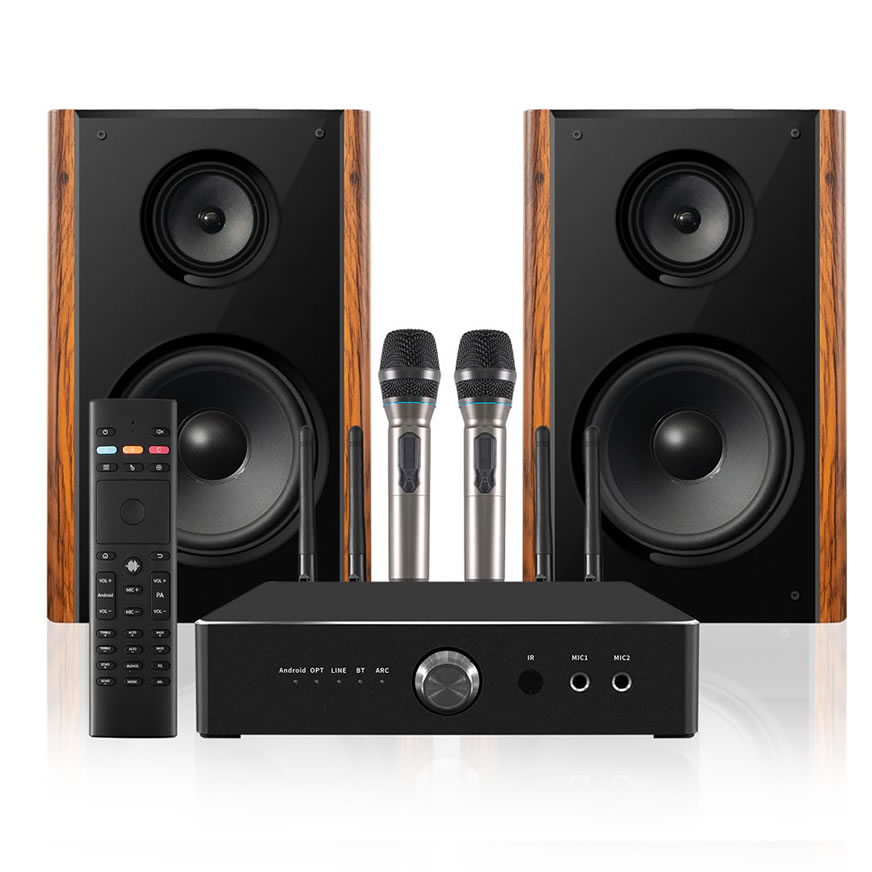 300W High Power Professional Home Karaoke Speaker | iHomeLife-HLQ HiFi Home KTV Audio for Home Theater & Small Performances