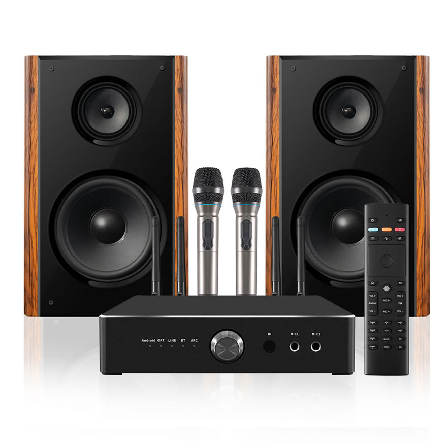 300W High Power Professional Home Karaoke Speaker | iHomeLife-HLQ HiFi Home KTV Audio for Home Theater & Small Performances