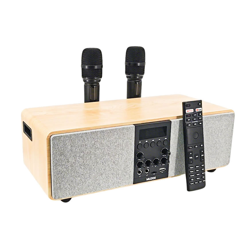 MUZEE M10 All-in-One Home Theater & Karaoke System