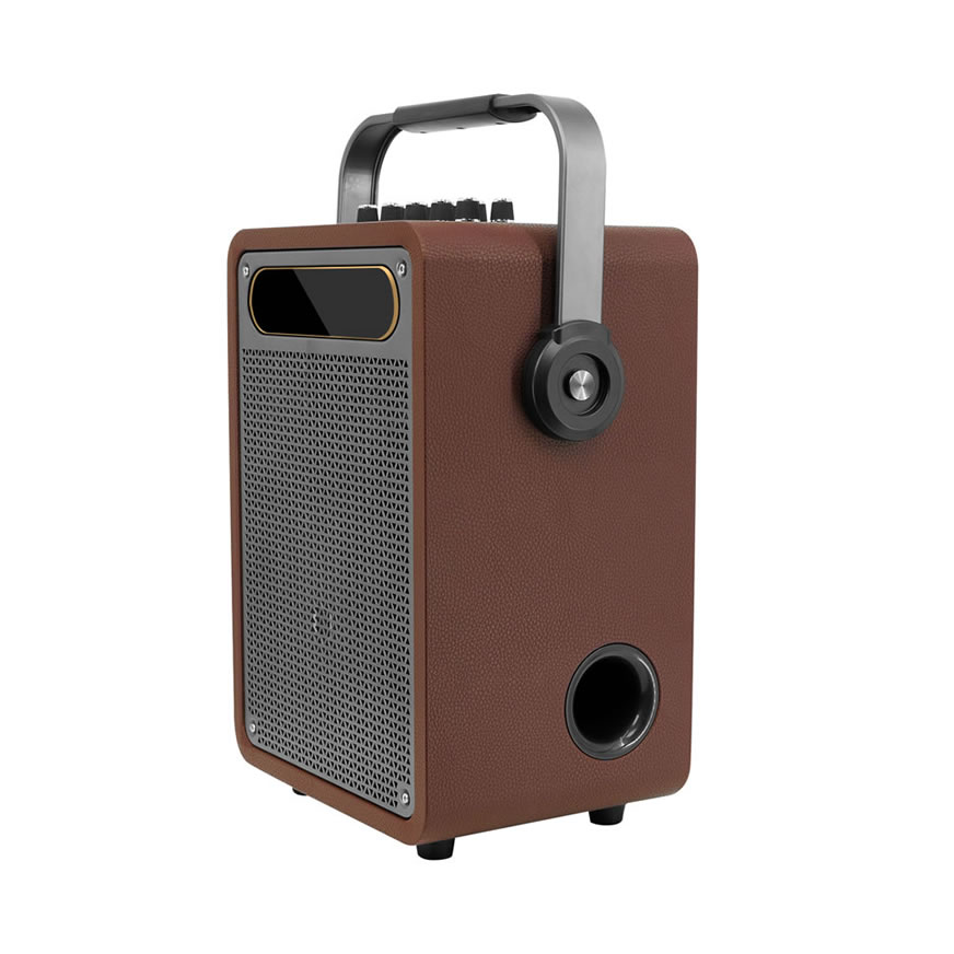 New Portable Karaoke Speaker (Special Speaker for Musical Instrument Performance and Singing)