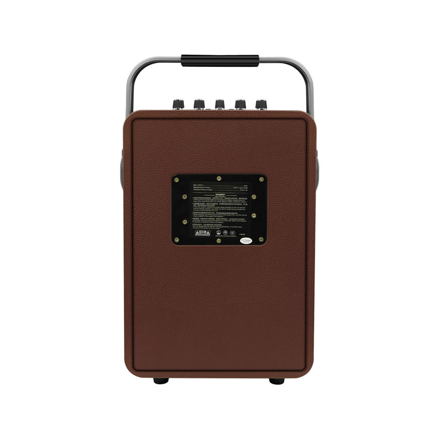 New Portable Karaoke Speaker (Special Speaker for Musical Instrument Performance and Singing)