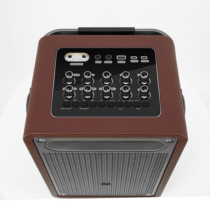 New Portable Karaoke Speaker (Special Speaker for Musical Instrument Performance and Singing)