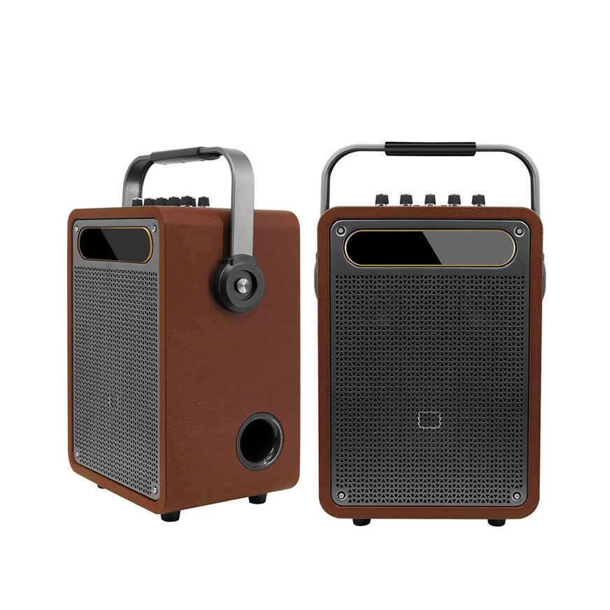 New Portable Karaoke Speaker (Special Speaker for Musical Instrument Performance and Singing)